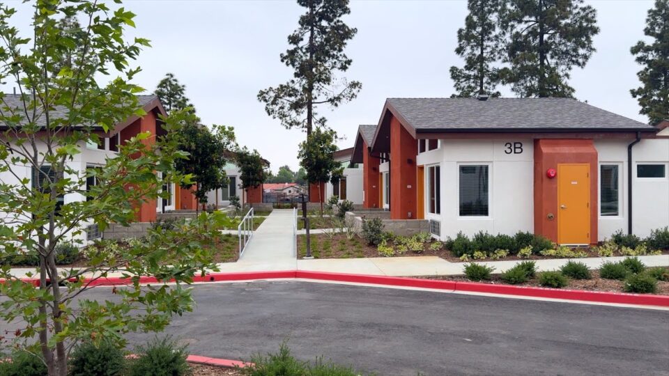 several buildings with a tree in front