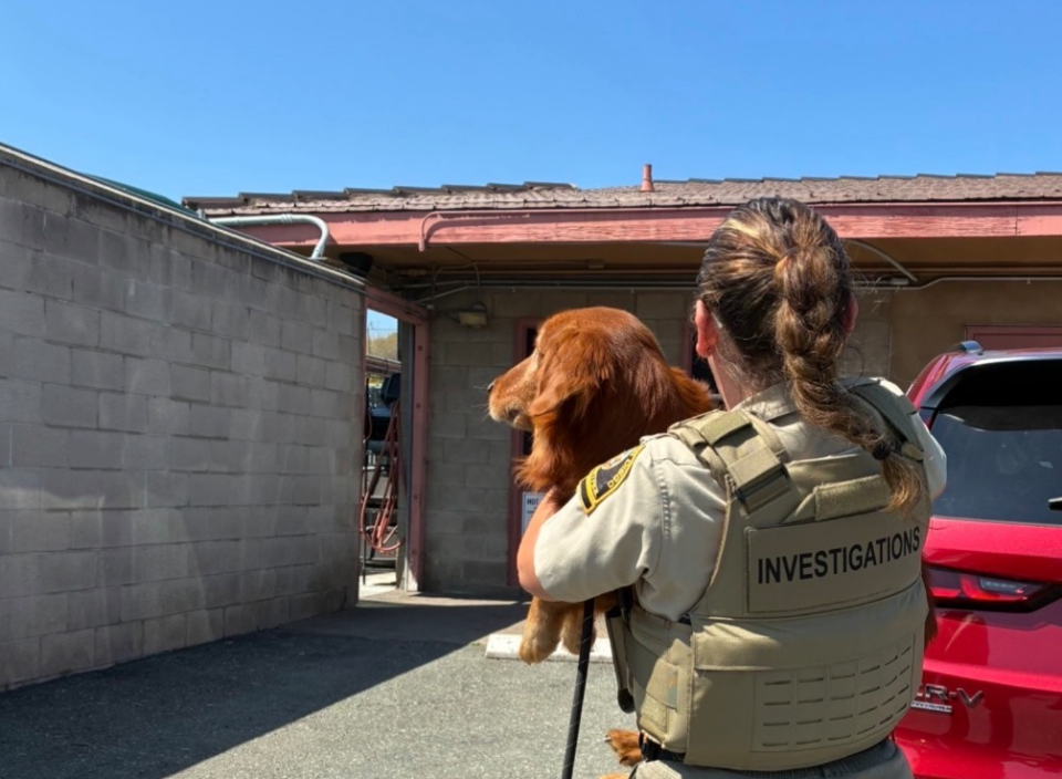 Animal Control Officer with malnourished dog at Bonita shelter