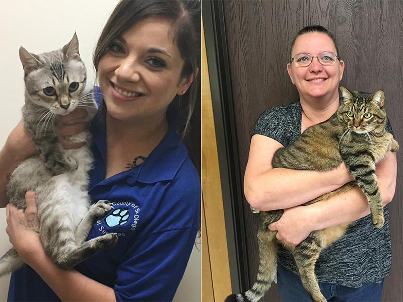 Animal Services staff with two cats.