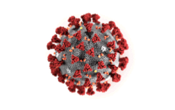 Illustration of 2019 novel coronavirus