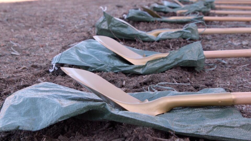 shovels lay on the ground in a line