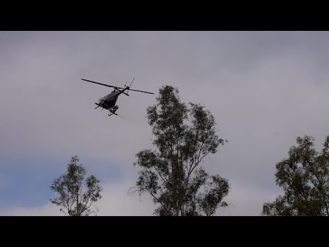 helicopter above trees