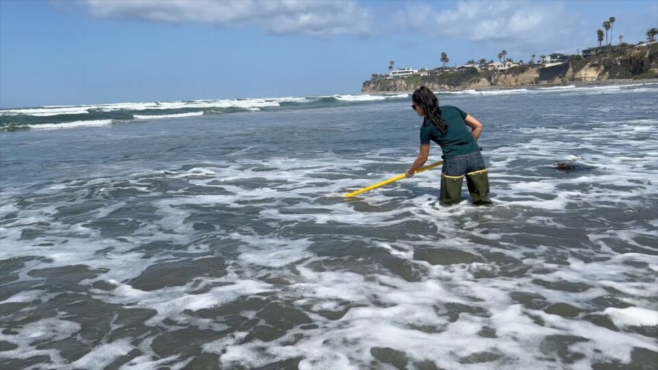 woman collects water sample while standing knee-deep in the ocean