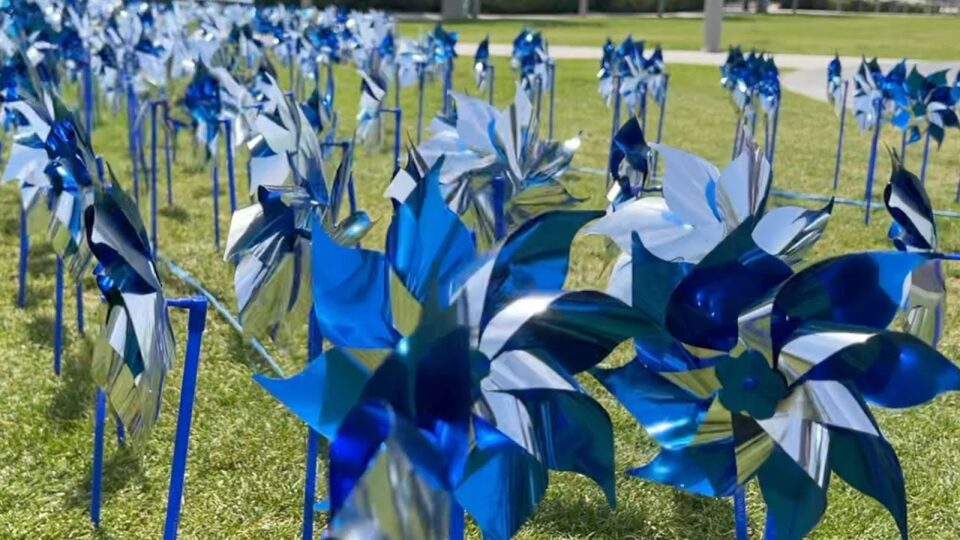 pinwheels on a lawn