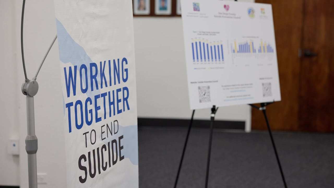 two posters showing suicide data