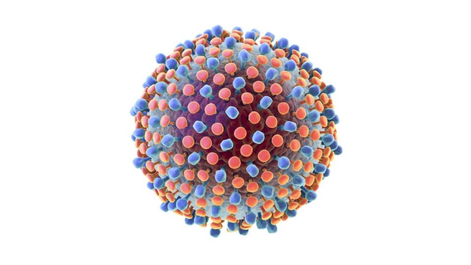 cellular illustration of hepatitis C