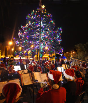 fallbrook-tree-lighting