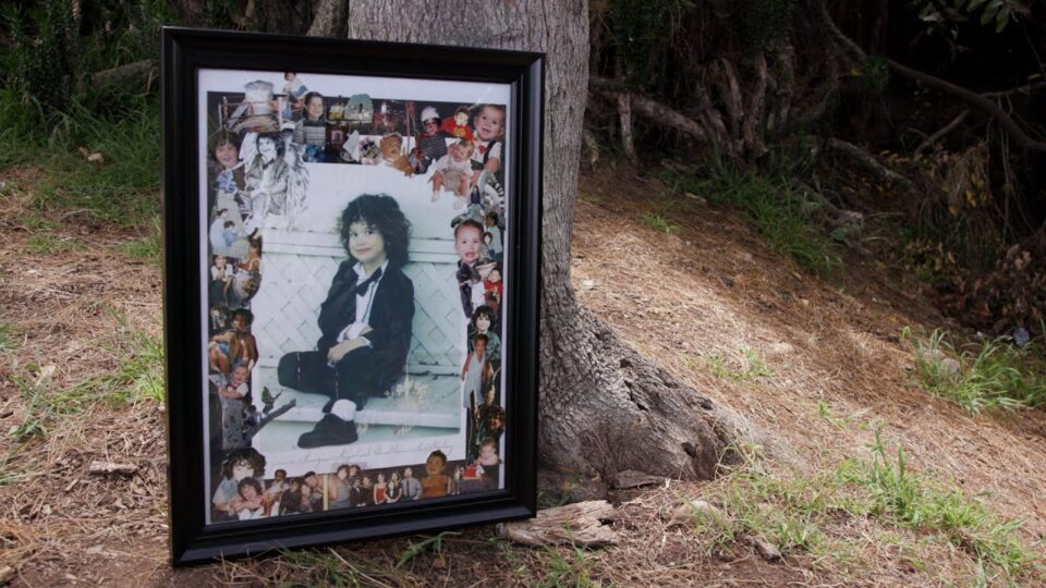 photo of child leans again a tree trunk