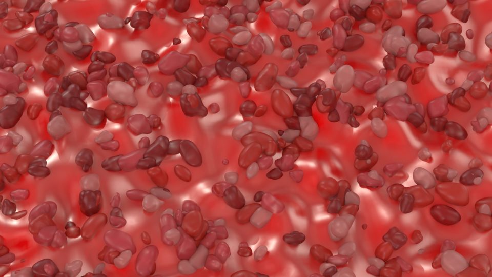 hantavirus molecular