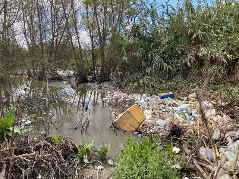 Tijuana River with trash