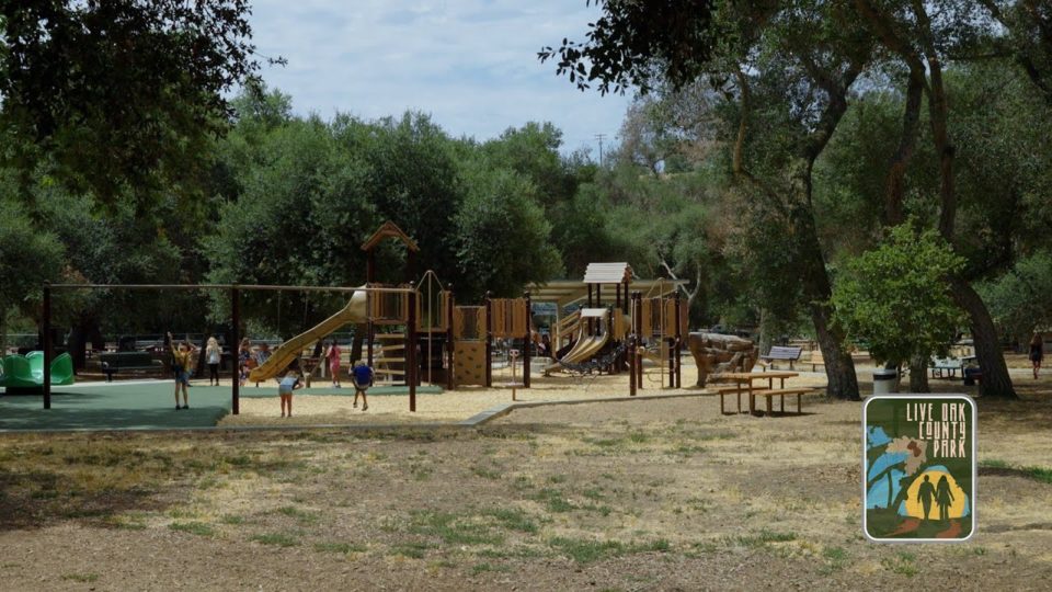 Live Oak County Park playground