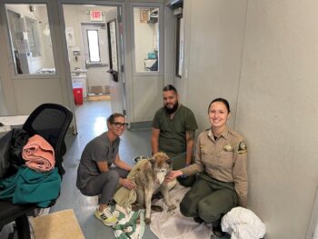 County Animal Services Officers posing with Mia after cleaning the oil off of her