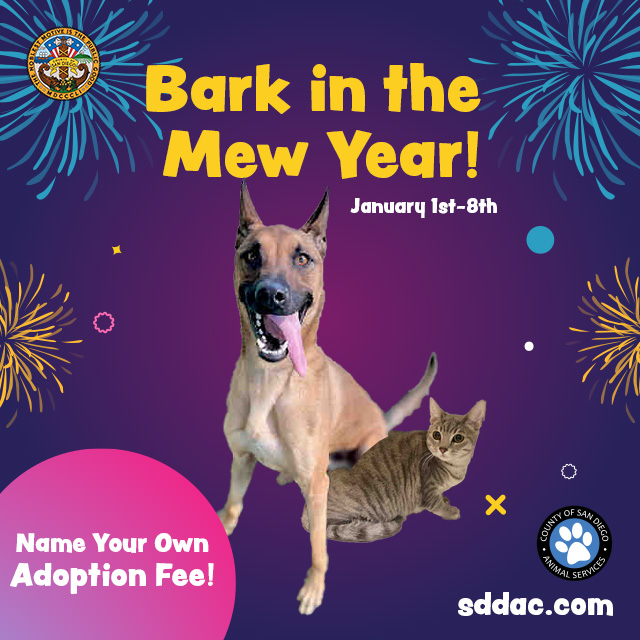 Bark in the Mew Year with Pet Adoption | News | San Diego County News Center