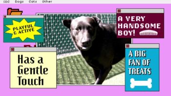 pet of the week