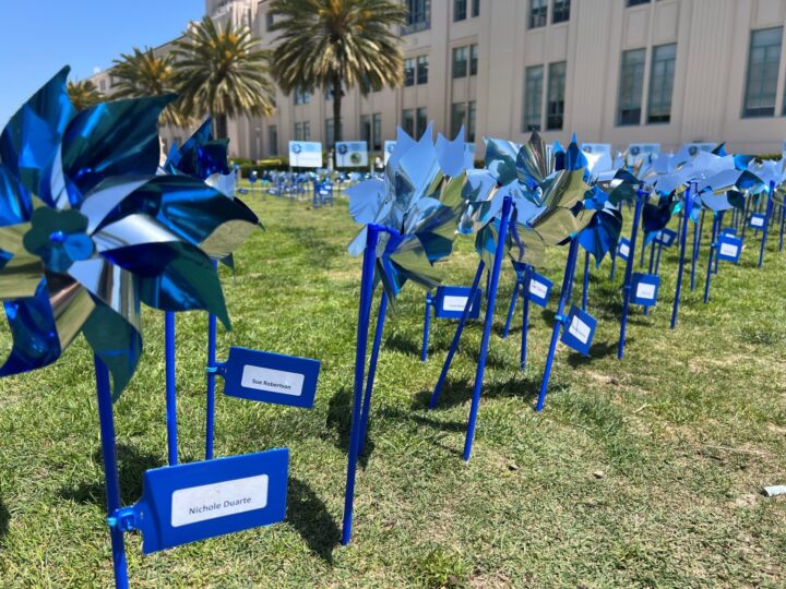 hundreds of blue pinwheels in lawn at County building