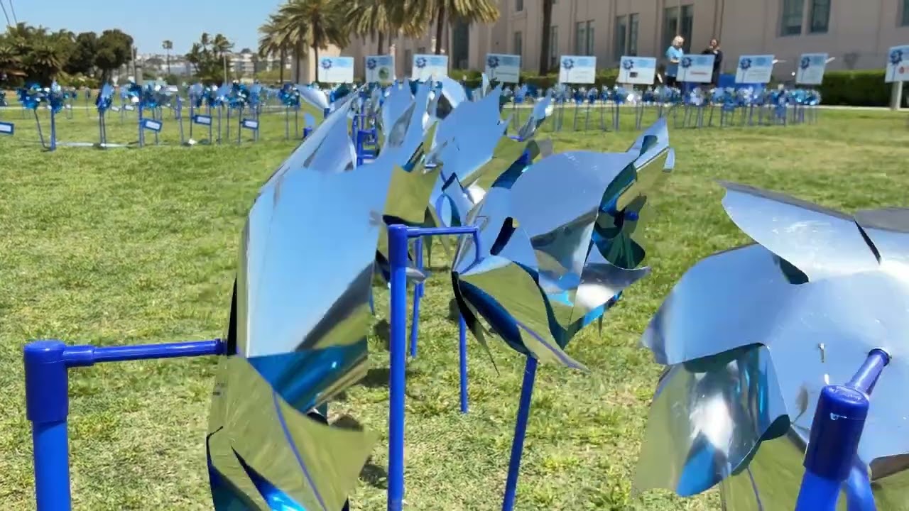 large number of pinwheels in a grassy field