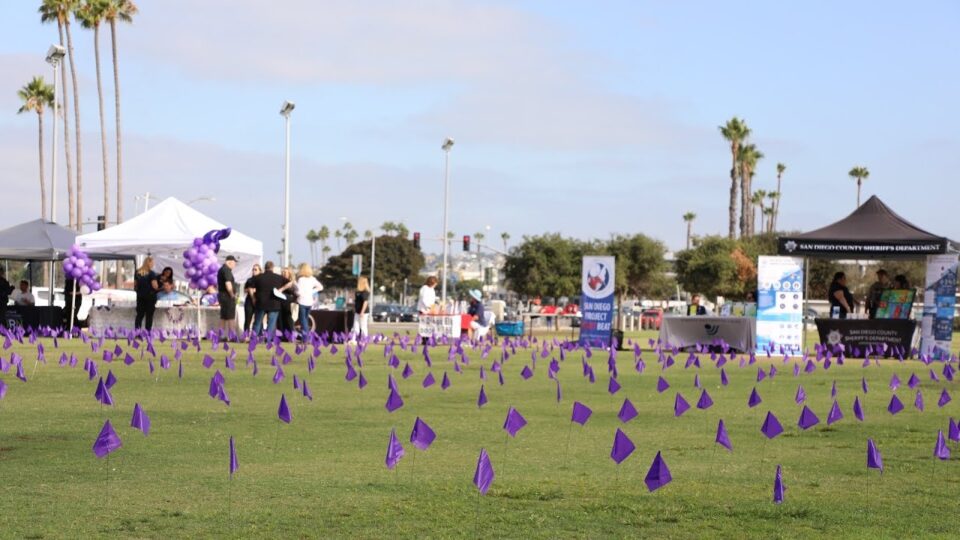 purple flags in field with booths in the foreground