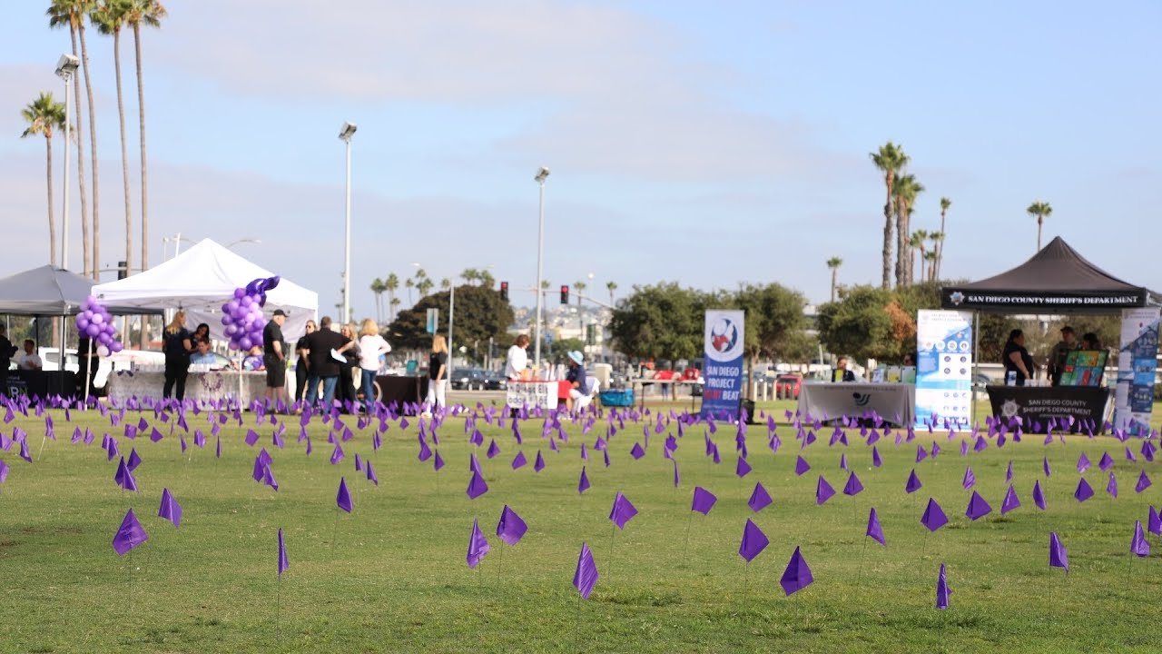 purple flags in field with booths in the foreground
