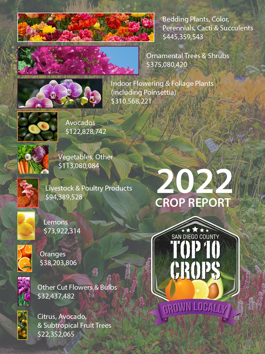 Crop Report Top 10 list 2022