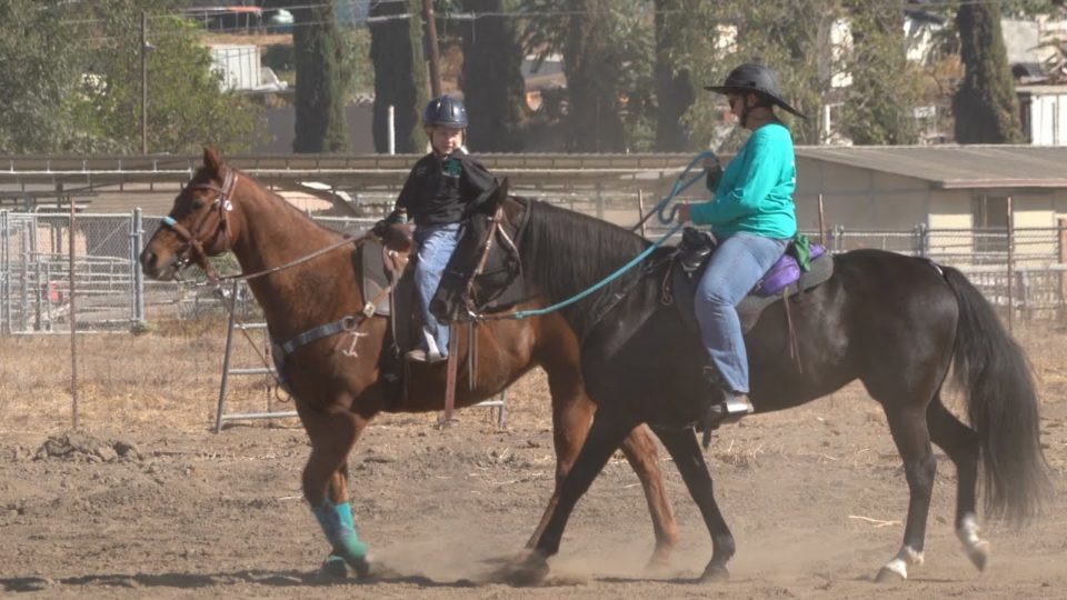 two people riding horses