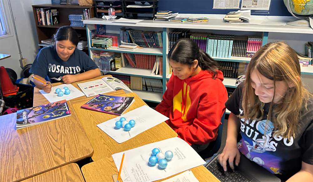 Students using laptop at table.