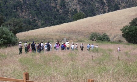 trailwalk
