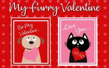 Valentine's Day cards with drawings of a cat and dog on them asking to be your Valentine.
