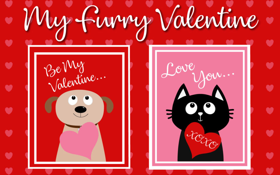 Valentine's Day cards with drawings of a cat and dog on them asking to be your Valentine.