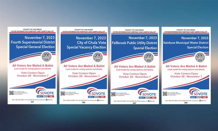 4 voter pamphlets in a row