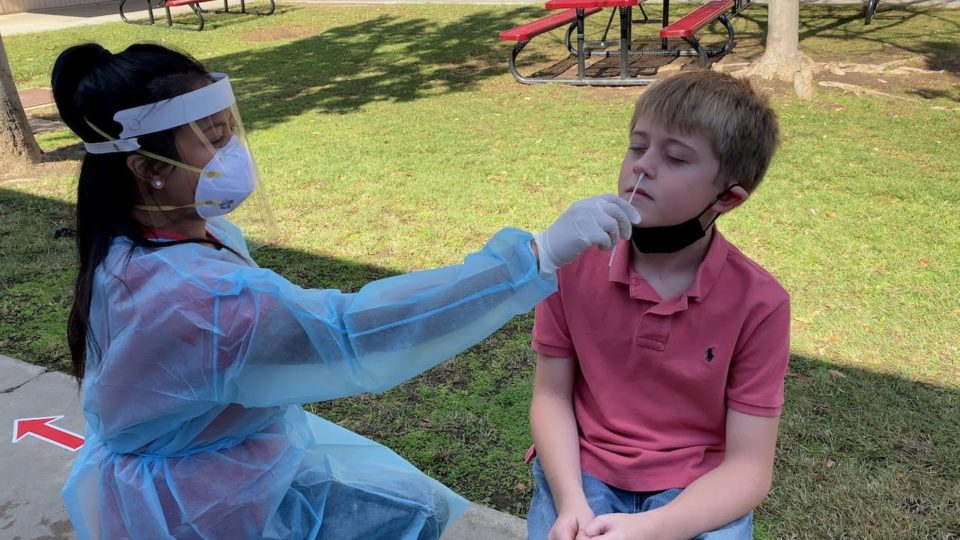 a boy gets his nose swapped