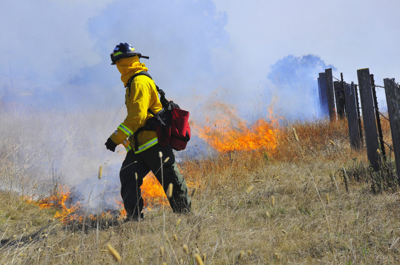 Firefighter walks among burning brush