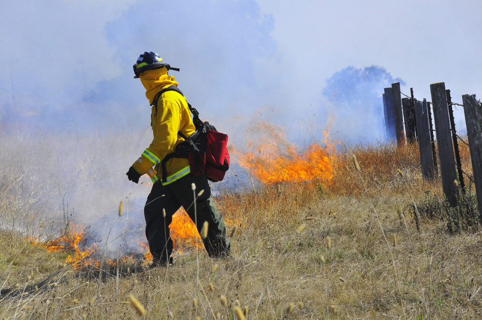 Firefighter walks among burning brush