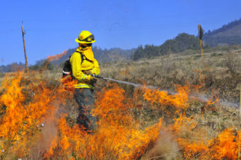 Firefighter putting out fire in a grassy field.