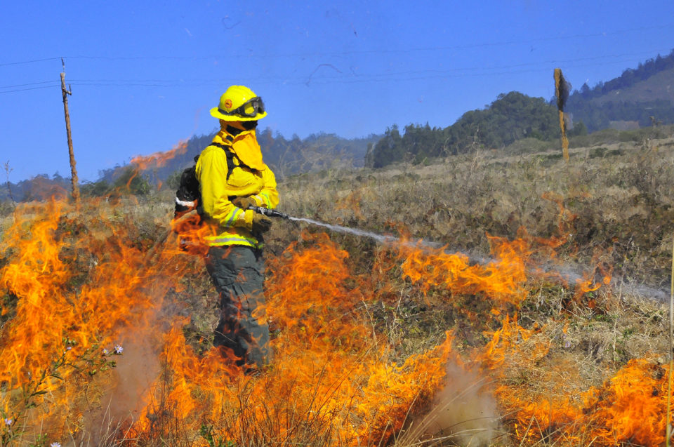 Firefighter putting out fire in a grassy field.