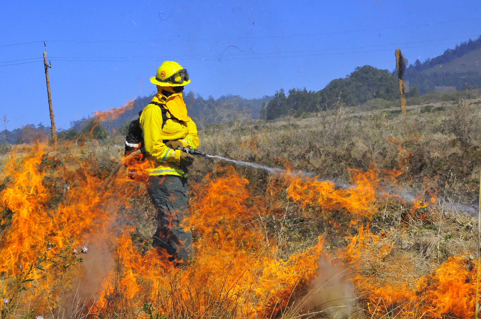 Firefighter putting out fire in a grassy field.